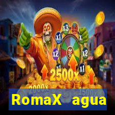 RomaX agua sanitaria fispq agua sanitaria romax